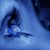 Shahryar Sadree's profile image