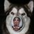 Carole Spencer's profile image