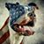 Tamara Miller Cook's profile image