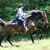 Rosa Calabrese's profile image
