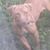 Arthur Lee Blackburn's profile image