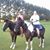 Tammy Powell's profile image