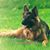 Jamie Wiles Bacon's profile image