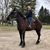 Lacey Reaume's profile image