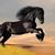 Cathy Sherman's profile image