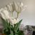Donna Kuhfuss's profile image