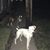 Joel Fairlie's profile image