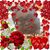 Wanda Johnson's profile image