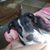 Elizabeth Getz's profile image