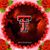 Cyndy Holmes Calbat's profile image