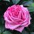 Kimberly Stovall's profile image