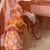 Laurie Mandel-Beaver's profile image