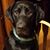 Kellie Wennstedt Nelson's profile image