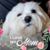 Nancy Conseur's profile image