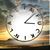 Carol Banfield Mcabee's profile image