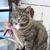 Inez Marie Johnson's profile image