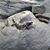 Christopher VonAllman's profile image