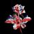 Coral McCulloch's profile image