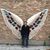 Christa Essany's profile image