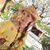 Patty Hdez's profile image