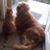 Barbara Sterling's profile image