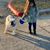 Erickvaleria Rod's profile image