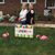 Judi Stitzel's profile image