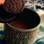 Tracie Lanham's profile image