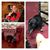 Missy McAnnally Sallas's profile image