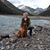 Donna Kessler's profile image