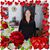 Stephanie Lenon Hornbeck's profile image