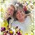 Sue Schein's profile image
