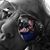 Caron Amy's profile image