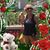 Lynne Maxey Arnold's profile image