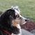 Linda M Hunter's profile image