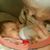Donna K Haworth's profile image
