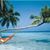 Linda Tantillo's profile image