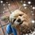 Faithy Faith's profile image