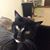 Jessie Koty Thompson's profile image