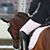 Sandra LaRoche's profile image