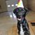Traci Lloyd Ellsworth's profile image