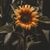 Vickie Earnest's profile image