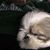 Debby Brady's profile image