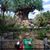 Cyndi Lightner Evans's profile image