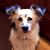 Nina Winters-Plotkin's profile image