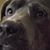 Darrick Snead's profile image