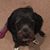 Pat Hemmer Valinoti's profile image