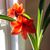 Marsha Wilson Kleinz's profile image
