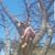 Nia Bagchi's profile image