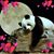 Amanda Dorothy Elliott's profile image